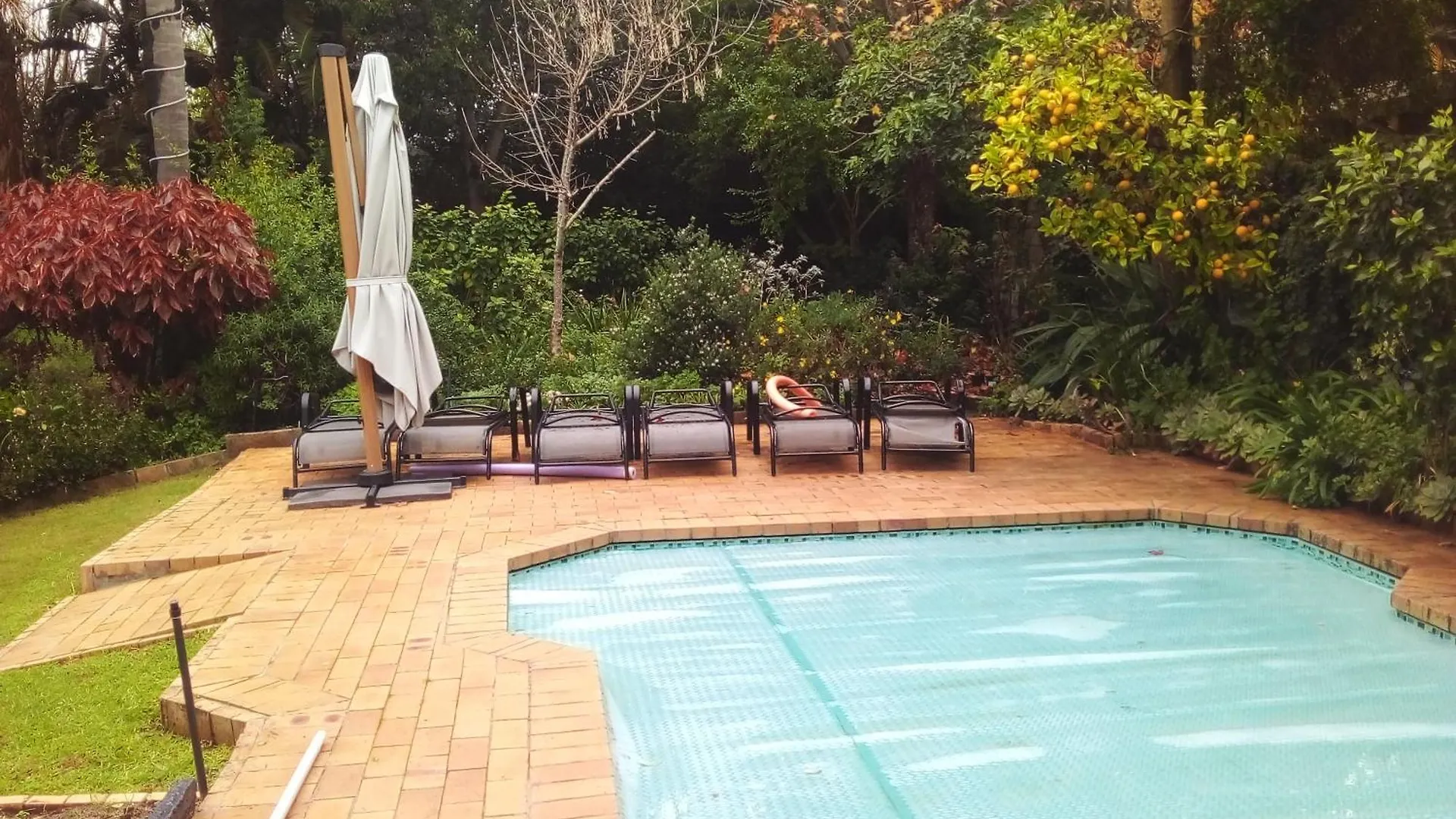 The Close In Constantia Bed & Breakfast Cape Town