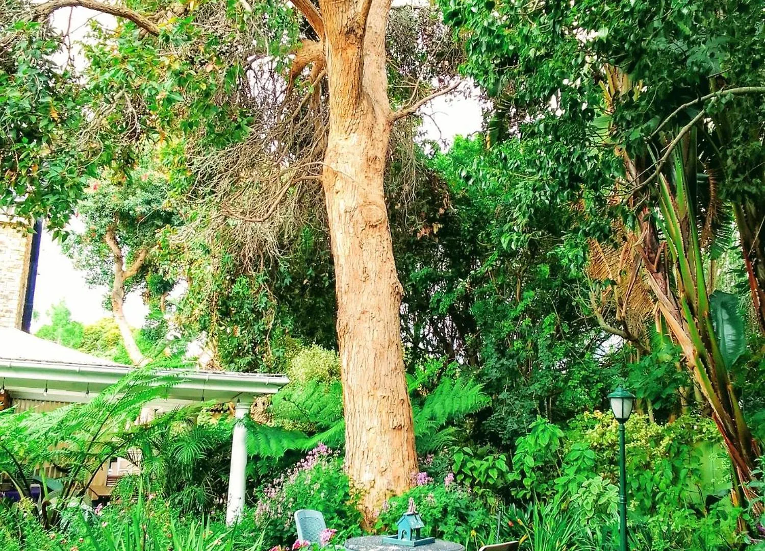 The Close In Constantia Bed & Breakfast Cape Town
