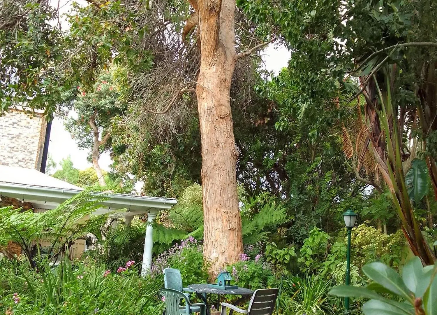 The Close In Constantia Bed & Breakfast Cape Town