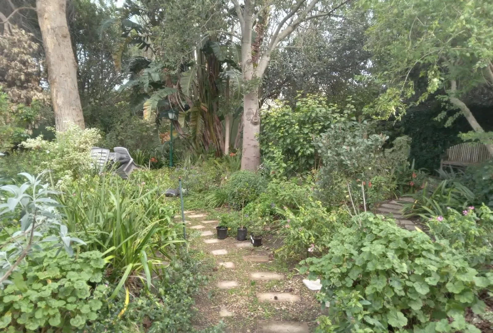 The Close In Constantia Bed & Breakfast Cape Town 0*,