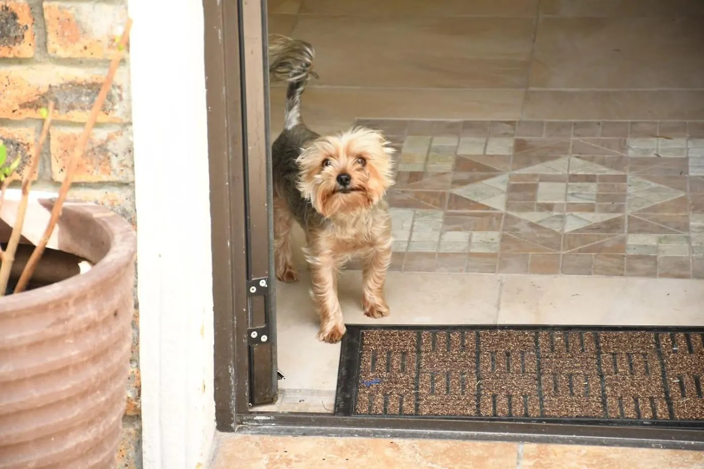 The Close In Constantia Bed and Breakfast Ciudad del Cabo
