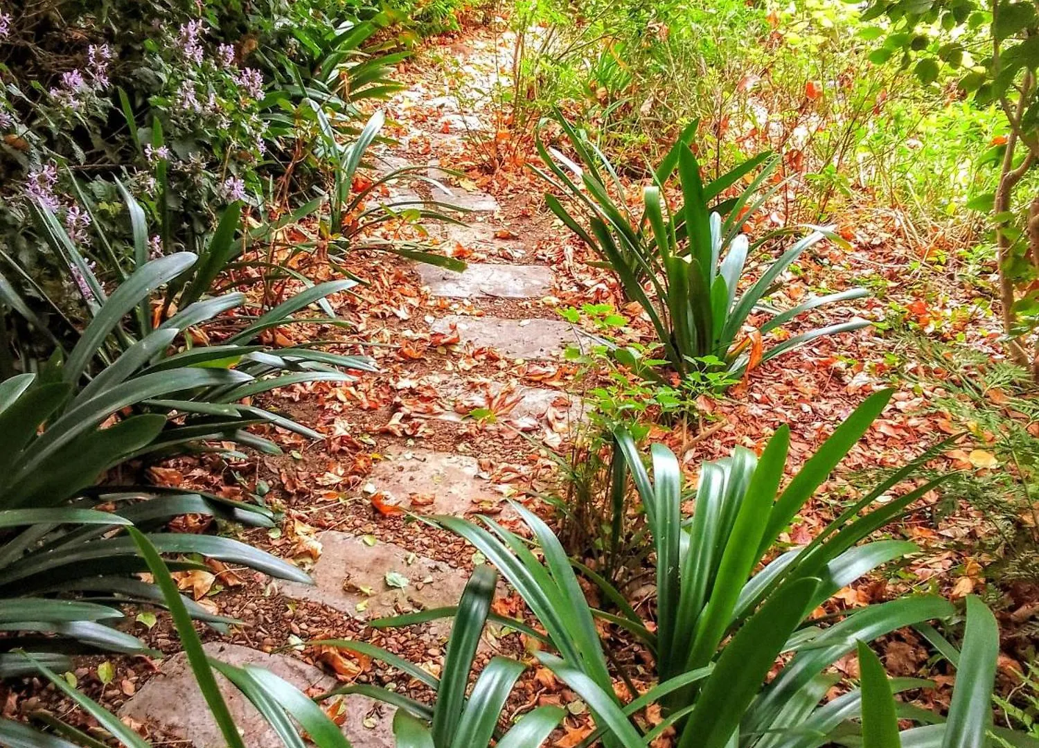 The Close In Constantia Bed and Breakfast Ciudad del Cabo 0*,